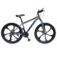 Bicicletă 26" Gold Fiy CF052