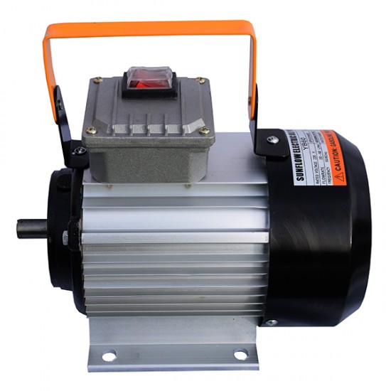 Motor pentru pompa de combustibil 0.55 kW ZYB60-220V