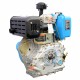 Motor 10 CP diesel Minsk Electro 186F (ax canelat)